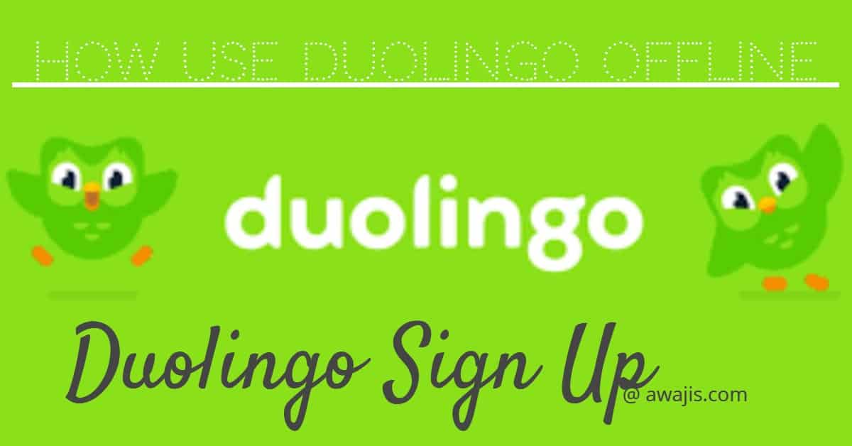 duolingo sign in