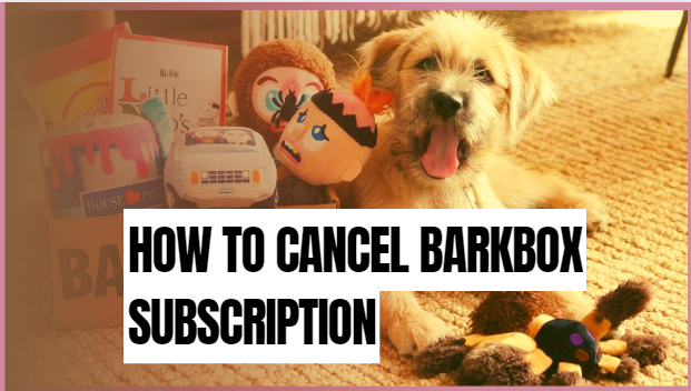 How to Cancel Barkbox Subscription ◉