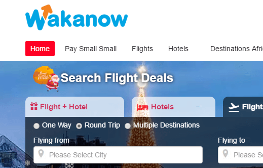 Complete Guide on Wakanow Travel Agency Services