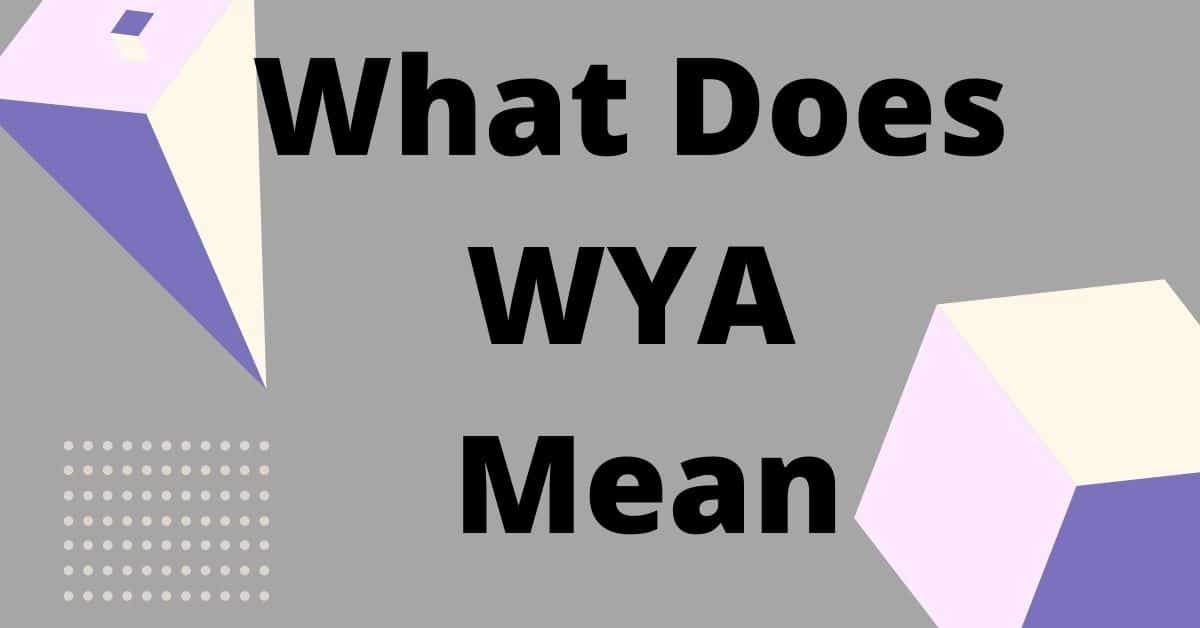 what-does-wya-mean-in-texting