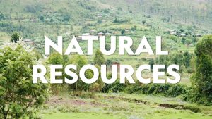 natural resources in nigeria