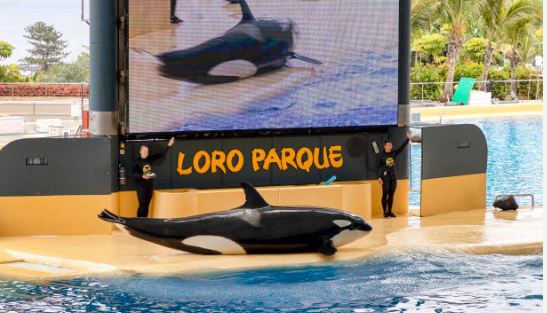 Top 10 Zoos in the World