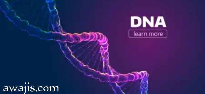 What Does Dna Stand For